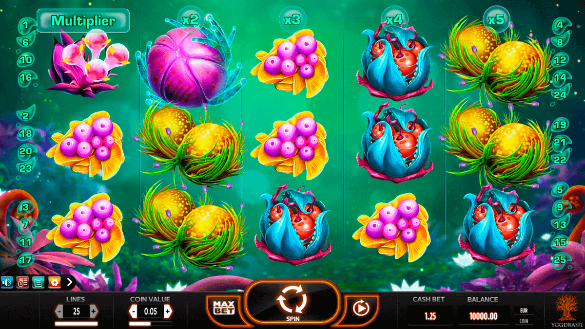 fruitoids yggdrasil